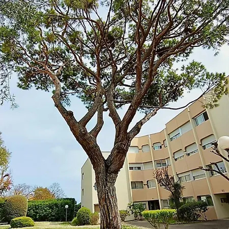 06bm Modern For 4 - Terrace - Swimming Pool - Parking * Antibes