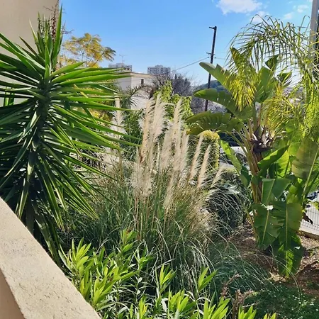 06bm - Plateaux Fleuris Apartment